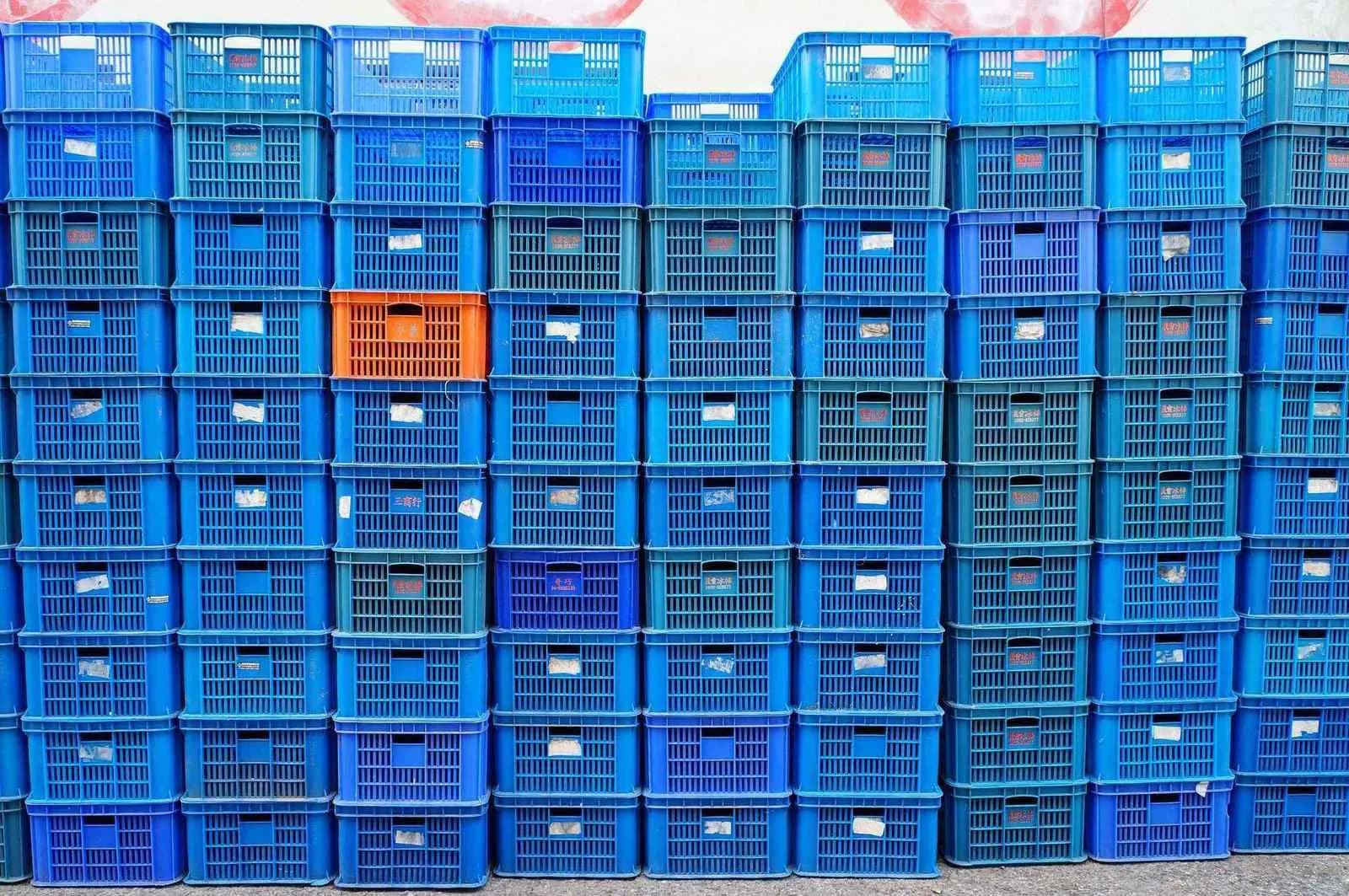 Quality manager reviewing ISO 9001 compliance documentation